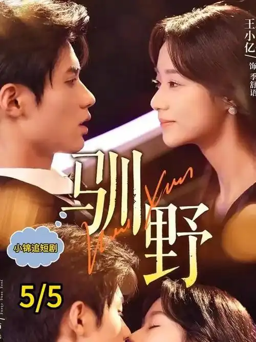 《隐秘的角落》小图